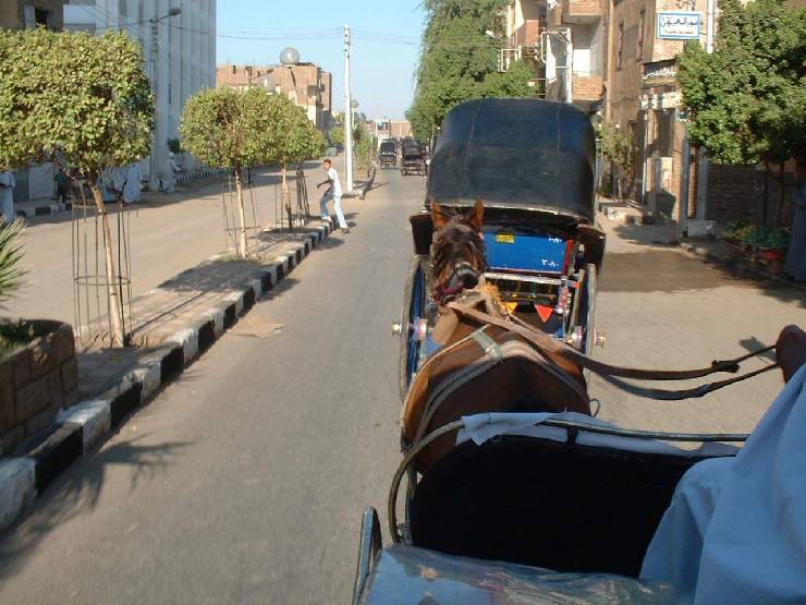 klik hier voor de originele foto (136kB - 1280x960)