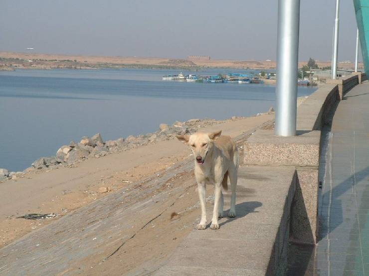 klik hier voor de originele foto (107kB - 1280x960)