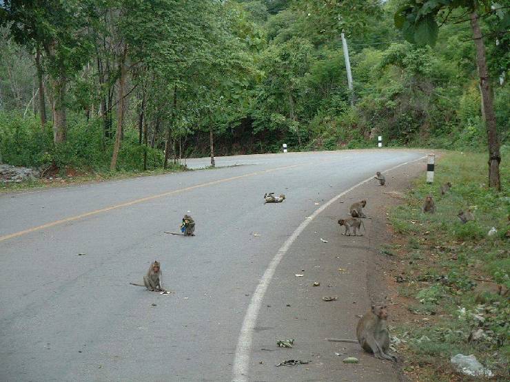 klik hier voor de originele foto (213kB - 1280x960)