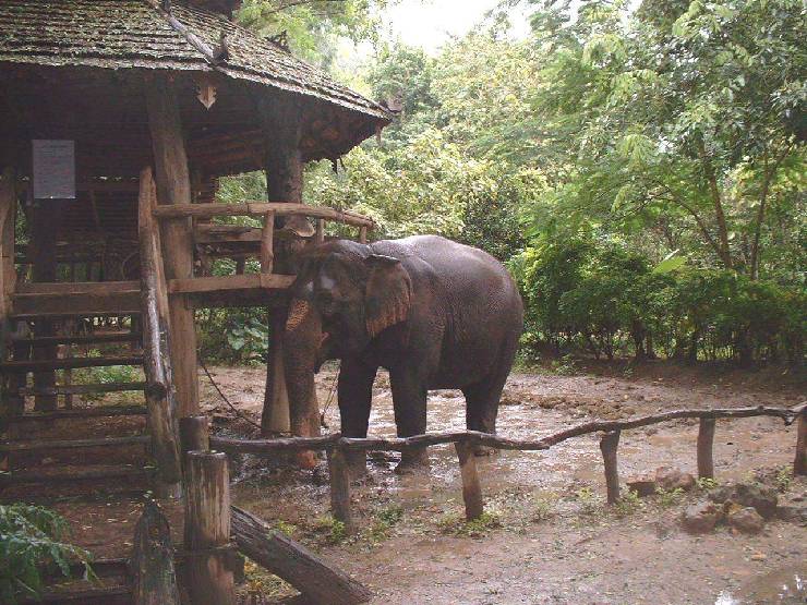 klik hier voor de originele foto (243kB - 1280x960)