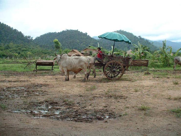 klik hier voor de originele foto (215kB - 1280x960)