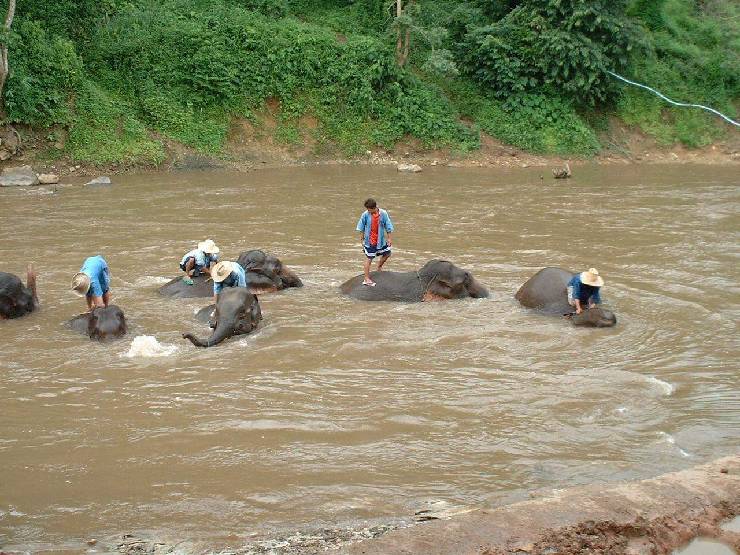 klik hier voor de originele foto (230kB - 1280x960)