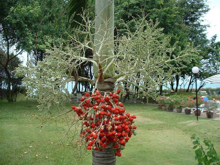 klik hier voor de originele foto (270kB - 1280x960)