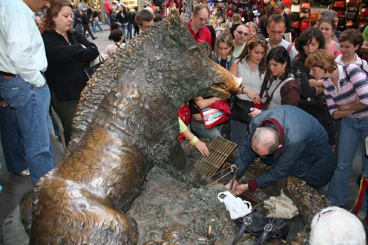 klik hier voor de originele foto (500kB - 1600x1067)