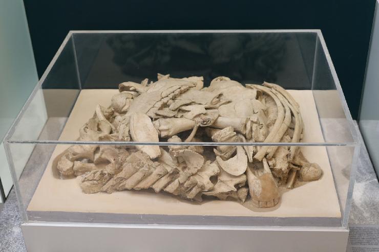 klik hier voor de originele foto (304kB - 1920x1280)