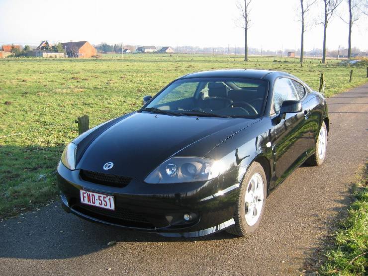 klik hier voor de originele foto (546kB - 1600x1200)